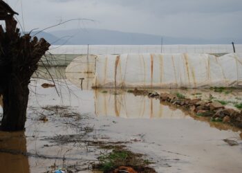 ЦУК: Можен пораст на водостоите – апел за внимателност и во Струмичкиот регион