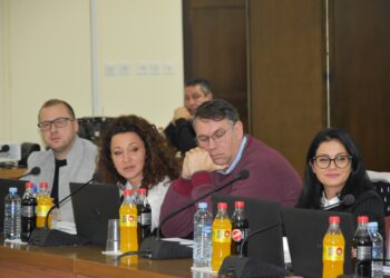 СДСМ побара 5 милиони денари за реконструкција на кров во градинка, Јанков најави дека ќе одвои 3 милиони