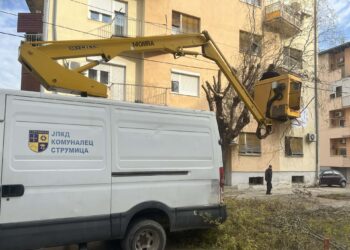 ЈПКД „Комуналец“ со есенско кроење на дрвјата по јавните површини низ Струмица