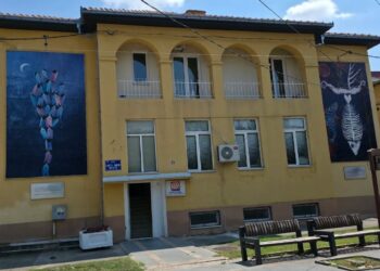 Библиотеката „Благој Јанков – Мучето“ распиша литературен конкурс на тема „Карневалската маска во мене“