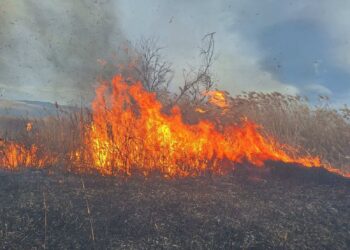 Две интервенции на пожарникарите во струмичко – изгаснати пожари на сува трева